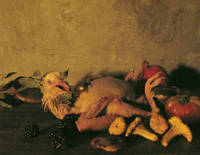 Still Alive, Pigeon with Blackberries