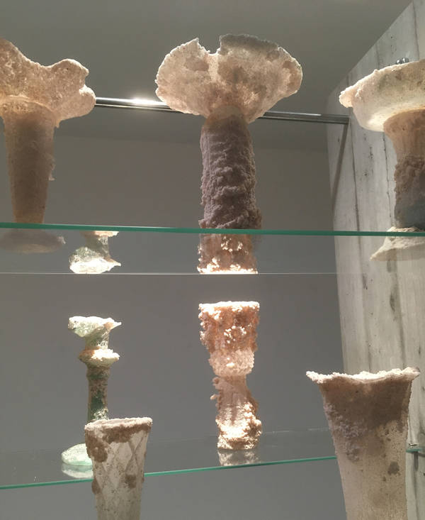 DOMESTICATION in BRUXELLES